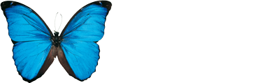 Le tropique du papillon